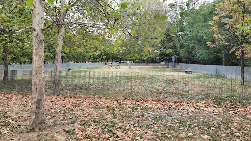 Area cani Parco Dora