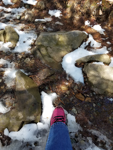 Observatory «Blue Hill Observatory Science Center Inc», reviews and photos, 1 Observatory Service Rd, Milton, MA 02186, USA