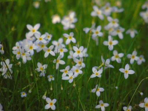 Memorial Park «Governor John Notte Memorial Park», reviews and photos, 1801 Douglas Ave, North Providence, RI 02904, USA