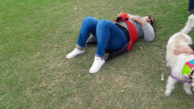 park