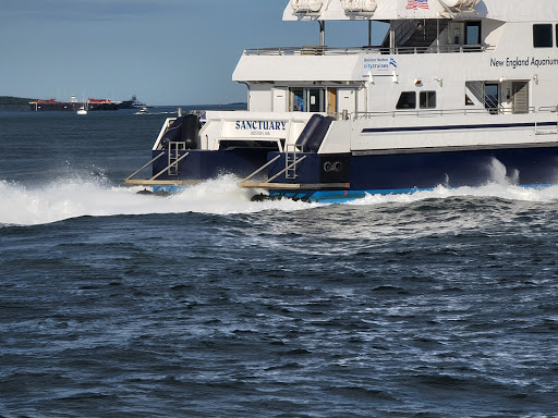 Historical Landmark «Fort Independence», reviews and photos, Harborwalk, Boston, MA 02127, USA