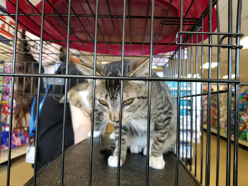 Pet Supply Store «Petsense Union City», reviews and photos, 1401 W Reelfoot Ave, Union City, TN 38261, USA