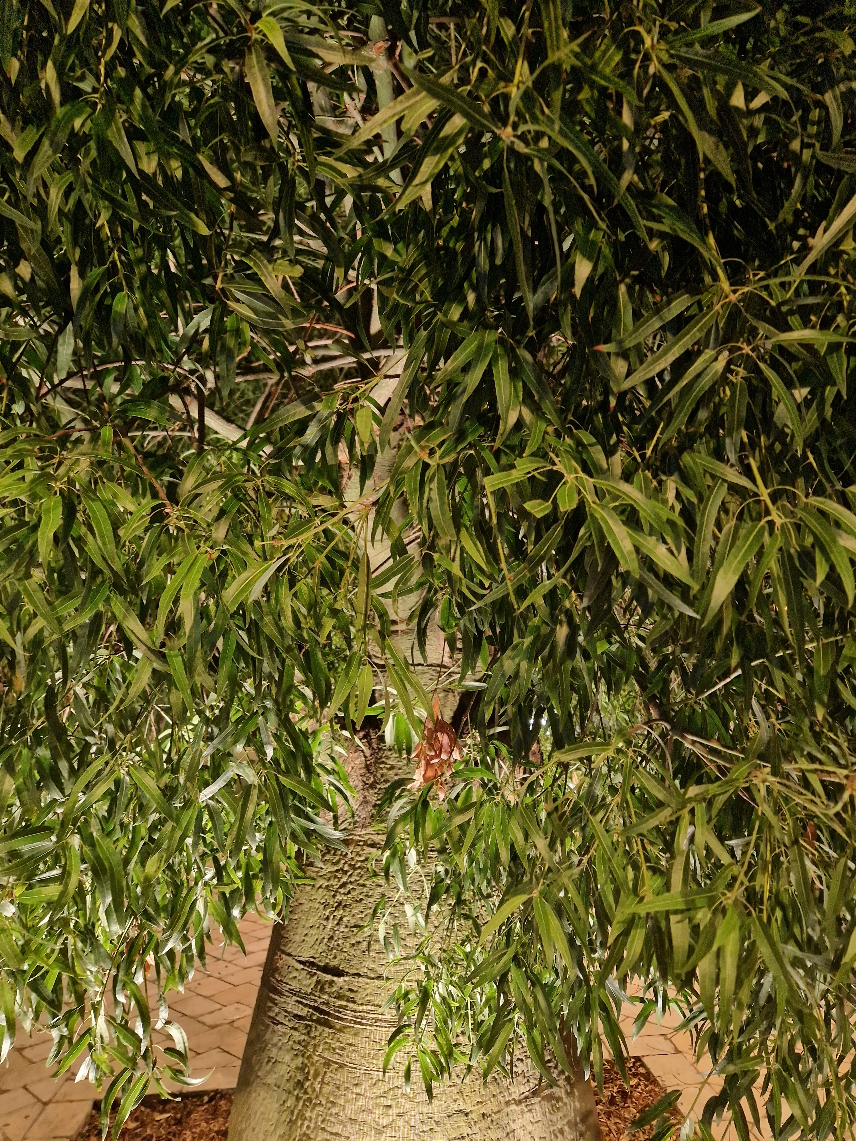 Photo n° 8 de l'avis de Roberto.a fait le 27/09/2023 à 19:43