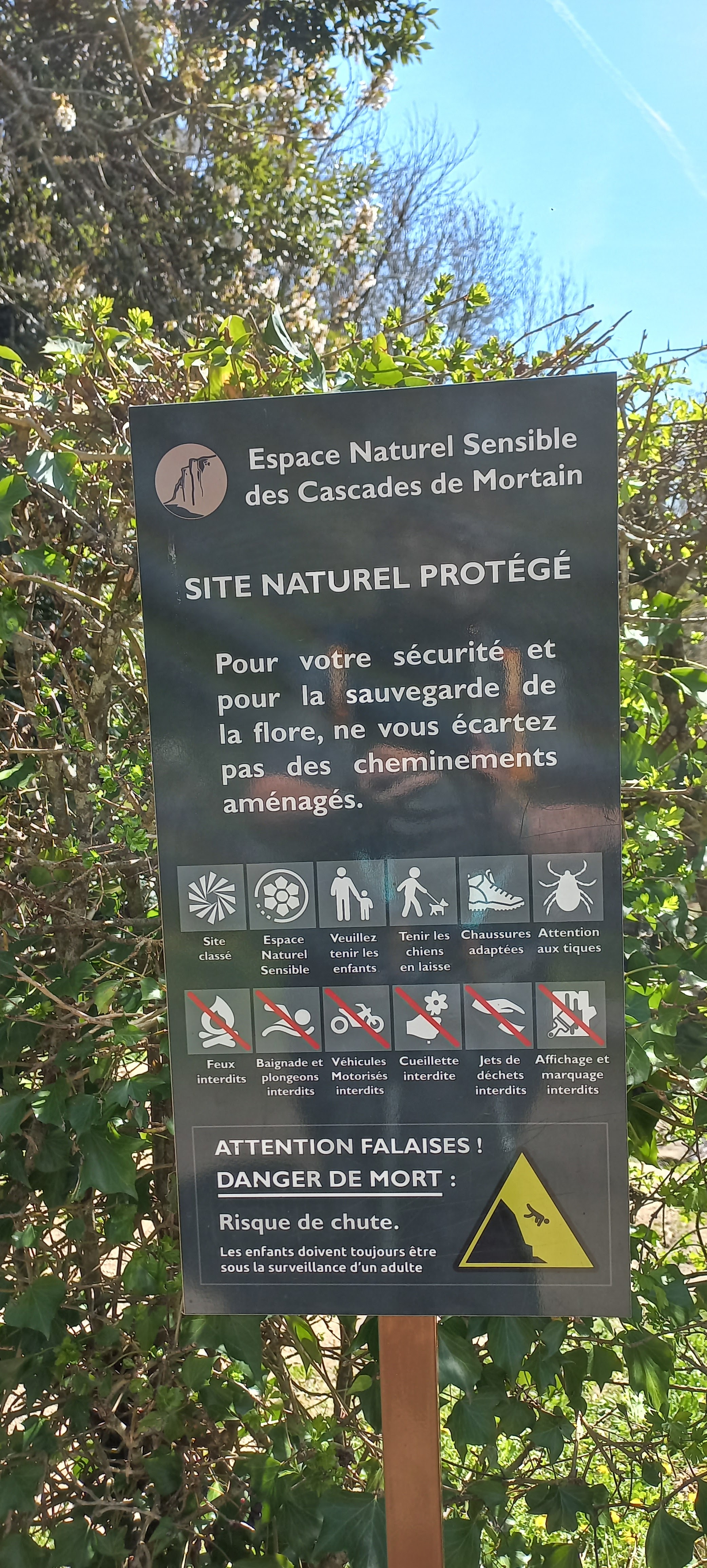 Photo n° 38 de l'avis de Françoise.o fait le 16/04/2023 à 15:18