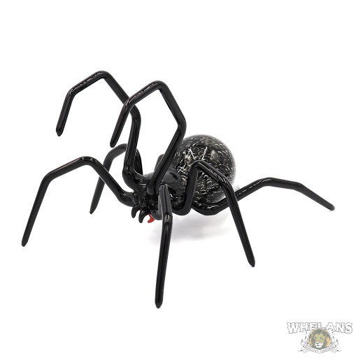 Glass Shop «WHELANS GLASS GALLERY, VAPOR, CIGAR, GIFT & SMOKE SHOP», reviews and photos, 2486 Bancroft Way, Berkeley, CA 94704, USA