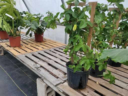 Garden Center «Beachside Gardens & Gifts», reviews and photos, 3725 US-12, Michigan City, IN 46360, USA