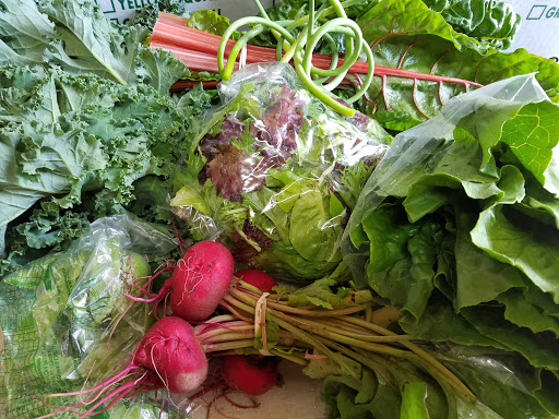 Produce Market «Stillman Farm Stand», reviews and photos, 1410 Lancaster Ave, Lunenburg, MA 01462, USA