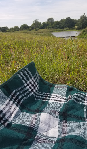 Nature Preserve «Buffalo Creek Forest Preserve», reviews and photos, 18163 W Checker Rd, Long Grove, IL 60047, USA