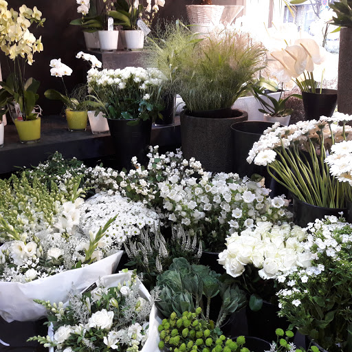 Cheap flower shops in Brussels