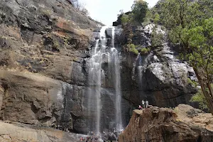 Aagaya Gangai Falls - Kollimalai image