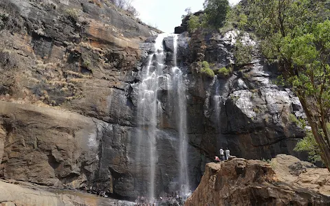 Aagaya Gangai Falls - Kollimalai image