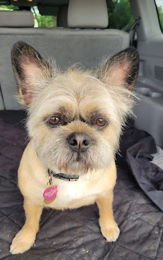 Pet Supply Store «Petco Animal Supplies», reviews and photos, 2005 Dr Martin Luther King Jr Pkwy, Chico, CA 95928, USA