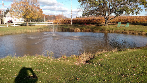 Winery «Sparkling Ponds Winery», reviews and photos, 10661 W Lake Rd, Ripley, NY 14775, USA
