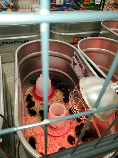 Home Improvement Store «Tractor Supply Co.», reviews and photos, 398 NJ-57, Washington, NJ 07882, USA