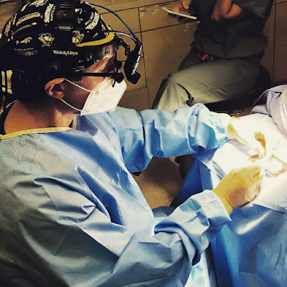 Dr. Jay Calvert - Beverly Hills - Dr. Jay Calvert - Beverly Hills