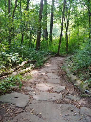 Egypt Valley Trail Head