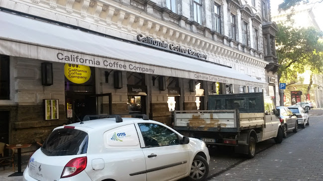 California Coffee Company - Bazilika