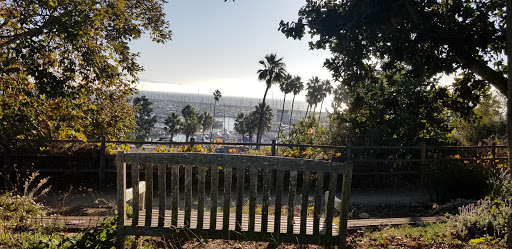 Community College «Santa Barbara City College», reviews and photos