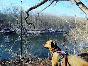 New Milford River Trail - photo 55