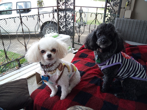 Pet Supply Store «PetSmart», reviews and photos, 3670 Von Schilling Dr, Hampton, VA 23666, USA