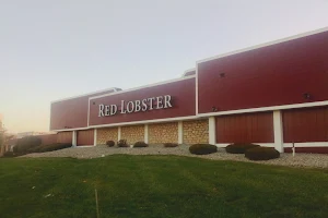 Red Lobster image