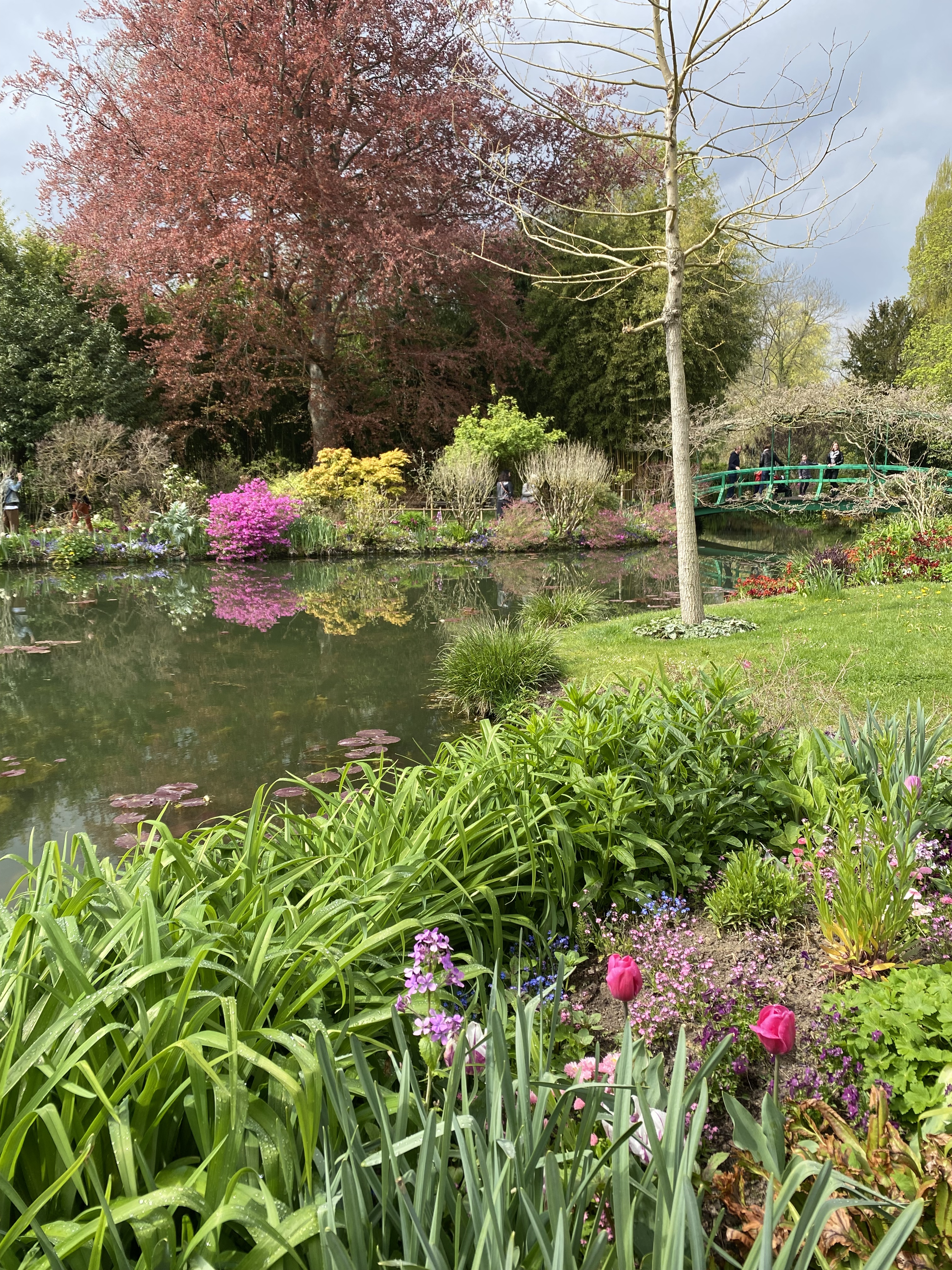 Photo n° 4 de l'avis de Emeline.u fait le 21/04/2023 à 20:45