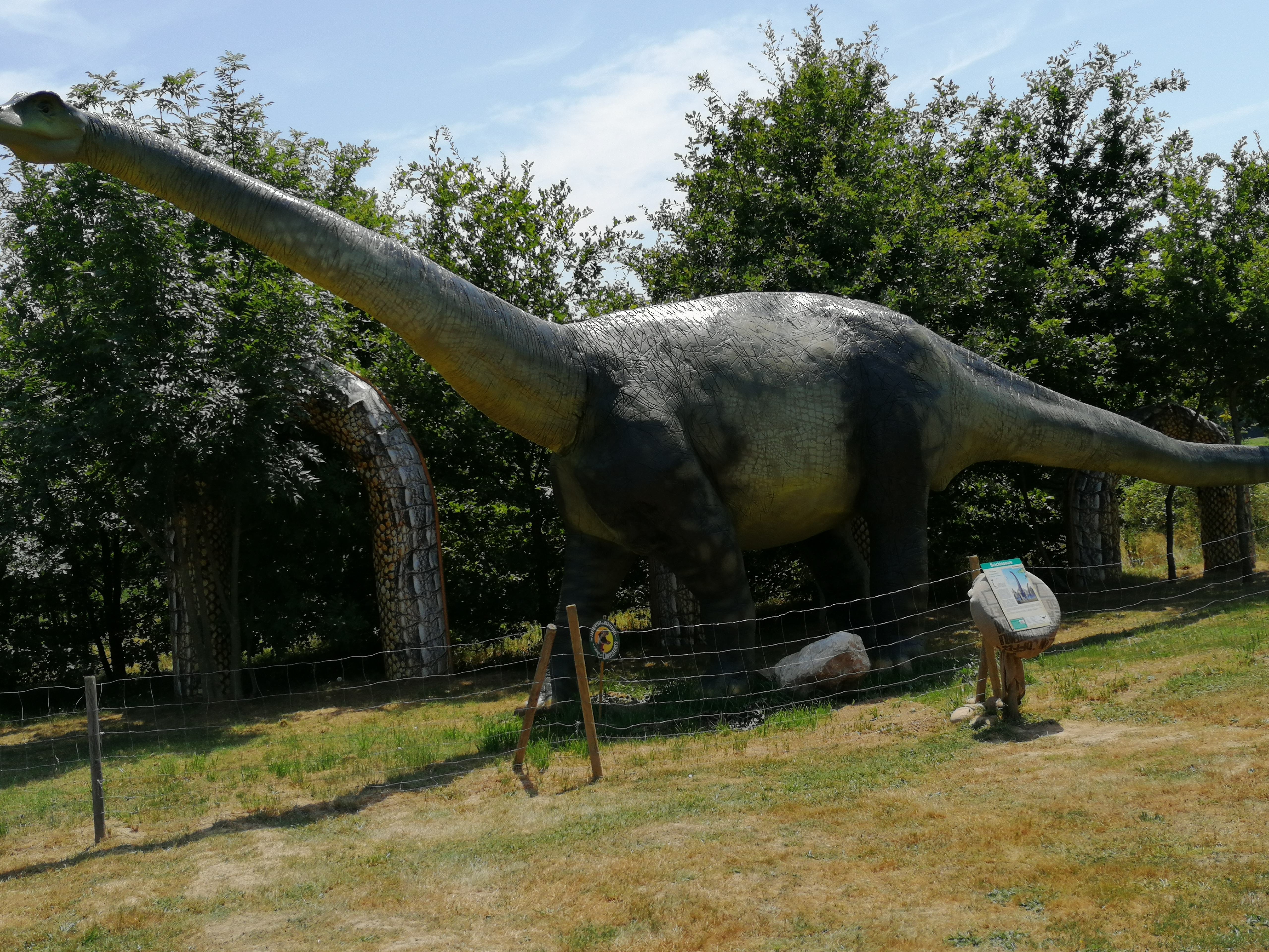 Photo n° 1 de l'avis de Nadhia.a fait le 26/07/2019 à 16:36