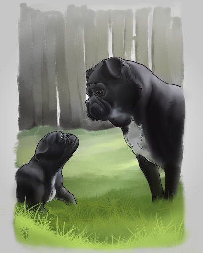 Tattoo Shop «Steel Heart Tattoo», reviews and photos, 40 E Market St, Harrisonburg, VA 22801, USA