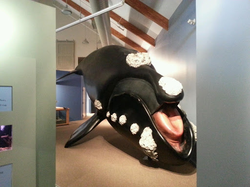 Educational Institution «The Audubon Society of Rhode Island Environmental Education Center», reviews and photos, 1401 Hope St, Bristol, RI 02809, USA