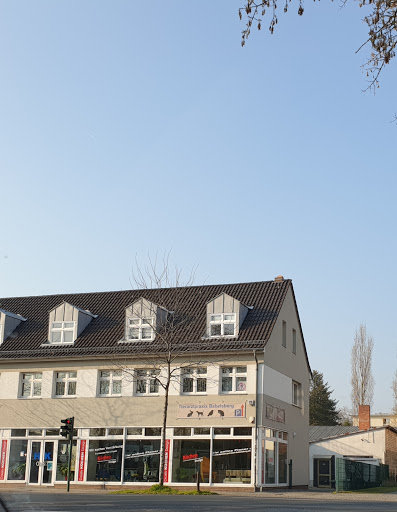 Hirschfeld, Mandy Tierarztpraxis - Babelsberg unter Potsdam, 