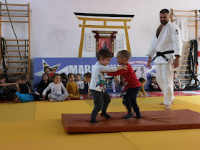 A.C.S. Judo Phoenix Timișoara