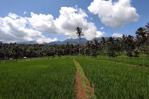 Dusun Batu Pandang Desa Sapit image