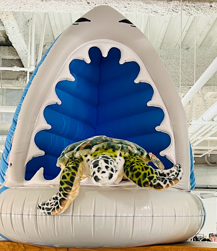 Toy Store «Engine Ear Toys», reviews and photos, 879 Newport Center Dr, Newport Beach, CA 92660, USA