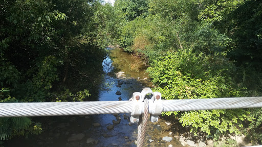 Museum «Discovery Place Nature», reviews and photos, 1658 Sterling Rd, Charlotte, NC 28209, USA