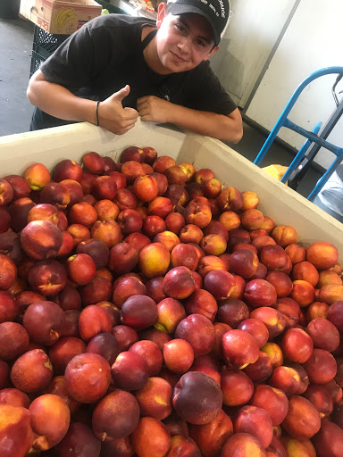 Produce Market «Pedrick Produce», reviews and photos, 6850 Sievers Rd, Dixon, CA 95620, USA