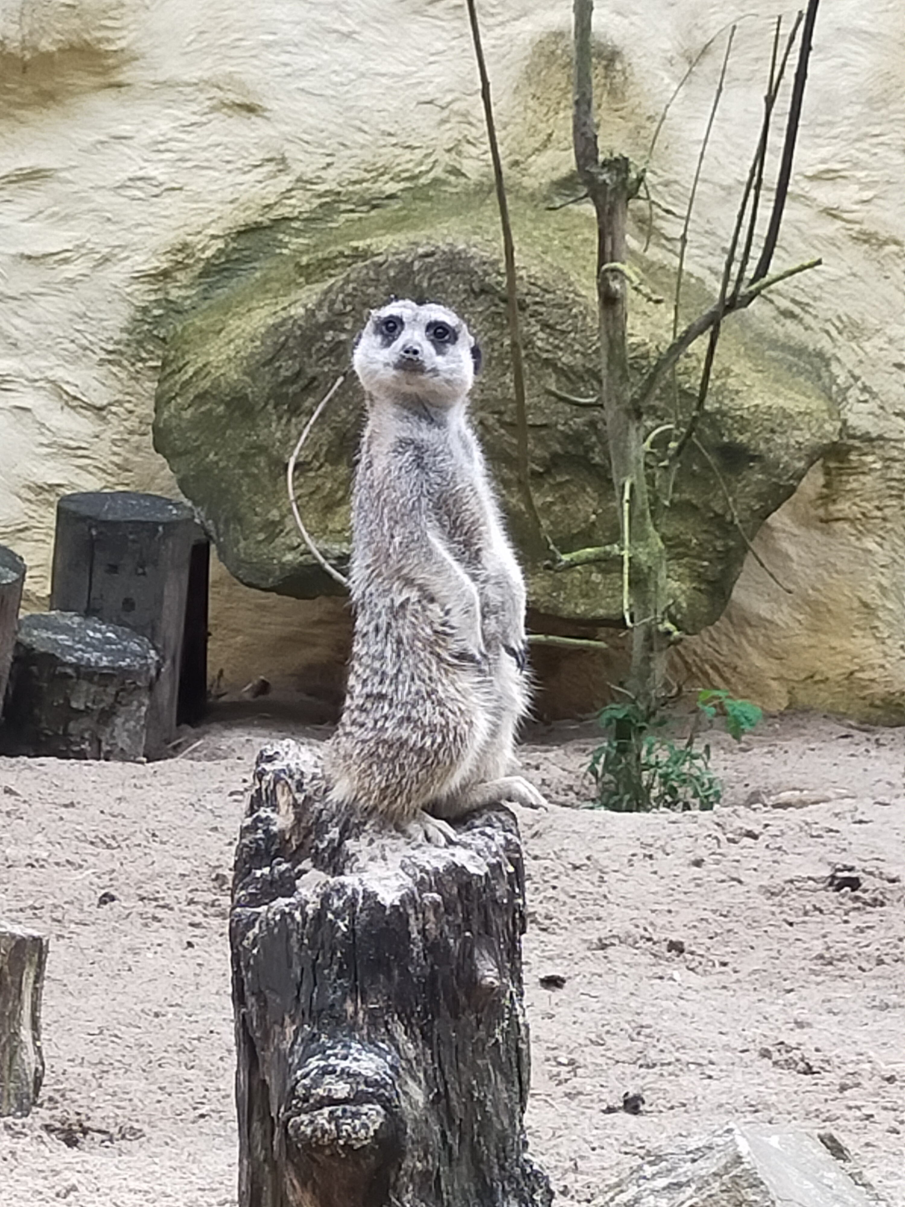Photo n° 1 de l'avis de Fabrice.h fait le 25/08/2023 à 14:22