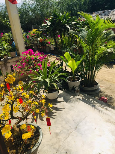 villa luantran
