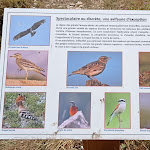 Photo n° 8 de l'avis de Frédéric.e fait le 26/07/2023 à 18:36 pour Causse Méjean à Hures-la-Parade