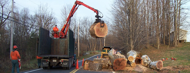 P.F.D Tree Removal & Excavation Contractors