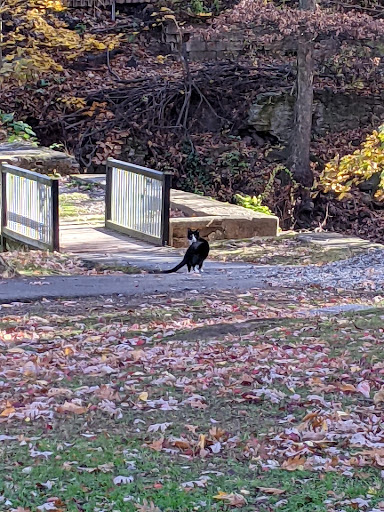 Park «Nichols Park», reviews and photos, 898 Bloomfield Ave, Nutley, NJ 07110, USA