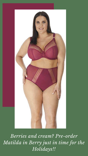 Lingerie Store «LiviRae Lingerie», reviews and photos, 440 Ernest W Barrett Pkwy NW #31, Kennesaw, GA 30144, USA