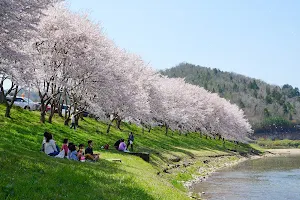 Hakuryu Lake image