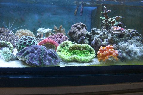 Mini-Meer und Lilly’s Futterinsel unter Rheinstetten, 