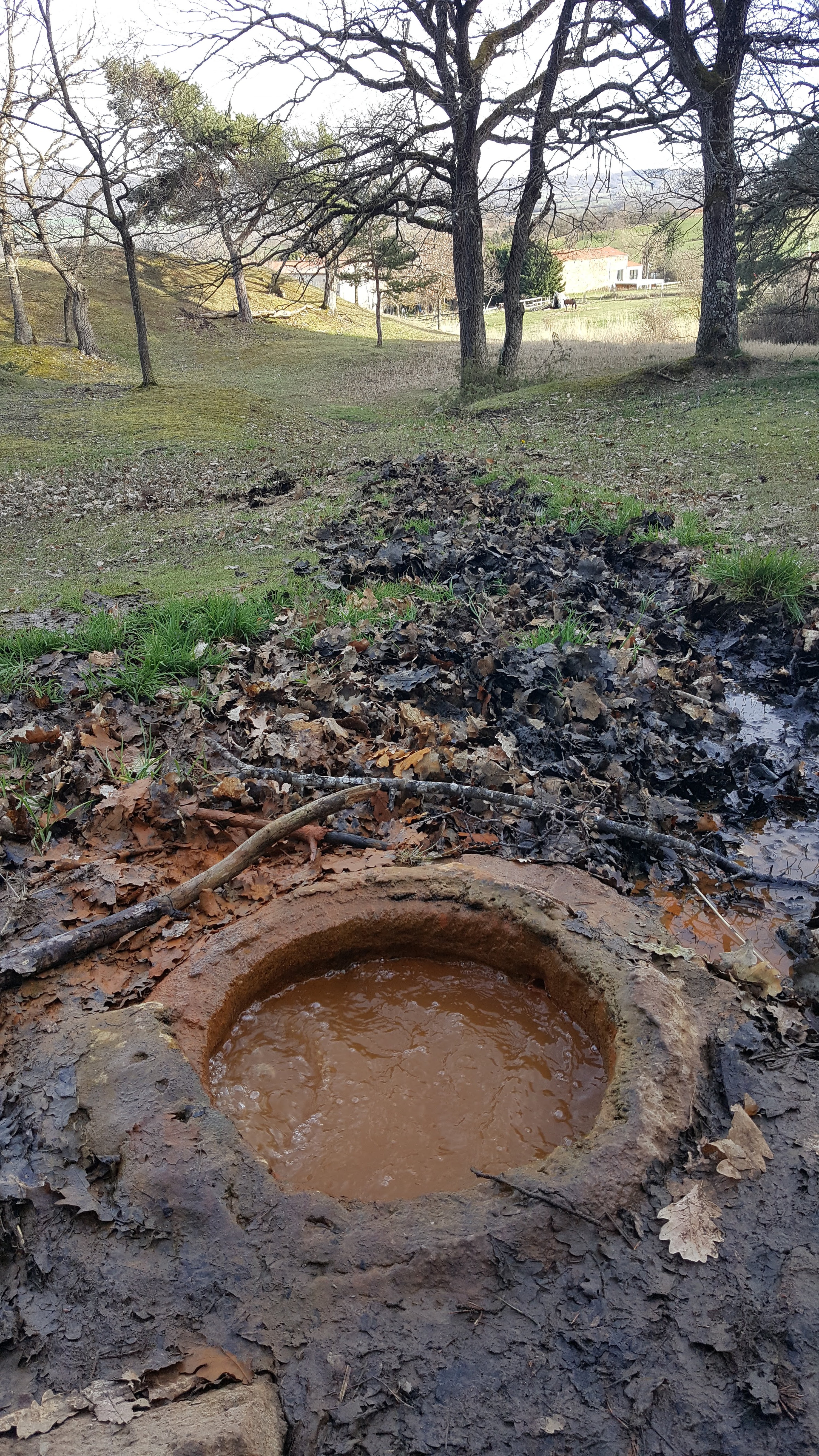 Photo n° 1 de l'avis de Xavier.a fait le 01/04/2018 à 18:17