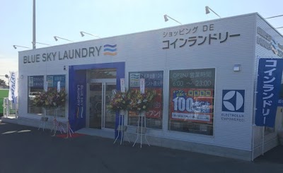 ブルースカイランドリーベイシア大泉店