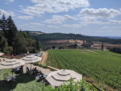 Vineyard «Willamette Valley Vineyards», reviews and photos, 8800 Enchanted Way SE, Turner, OR 97392, USA