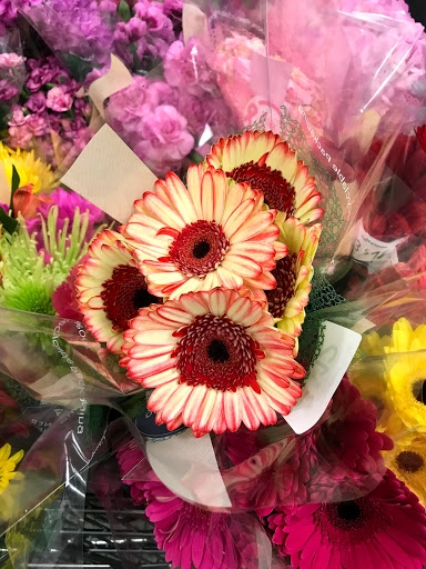 Shopping Mall «Riverstone Plaza», reviews and photos, 1451 Riverstone Pkwy, Canton, GA 30114, USA