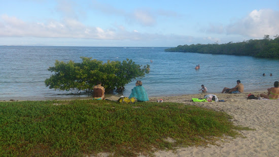 Playa los alemanes