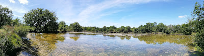 Site Naturel des Tourbières à Vendoire