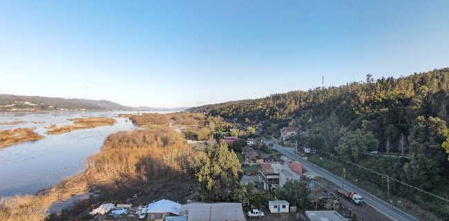 Opiniones de Colegio alto nahuelbuta en San Pedro de La Paz - Guardería